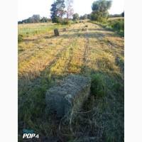 Продам сено.солому.люцерну в тюках