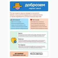 Допоможу швидко, безпечно та зручно продати землю сільськогосподарського призначення