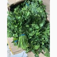 Продам Петрушку