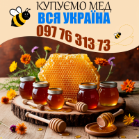 Купуємо мед по всій Україні! Приймаємо партії від 500 кг