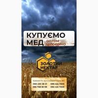Купуємо мед, пилок, віск, мерву
