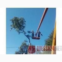 Спил дерева, услуги сад покос травы, расчистка участков вывоз мусора Одеса