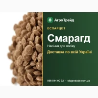 Продам насіння еспарцету Смарагд