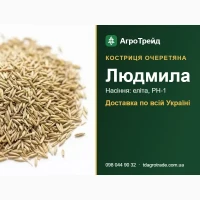 Купити насіння костриці очеретяної Людмила - еліта, РН-1