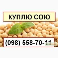 Закупка сои в Хмельницкой области. Самовывоз