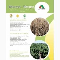 Семена сои под Раундап - Максус; Монро; Сенсор; Ультра, Венус - 1 репродукция