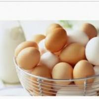 Продам яйцо куриное