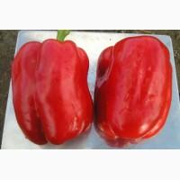 Продам перец геркулес