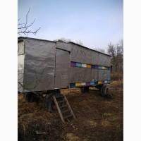 Продам бджолиний павільйон з сім#039;ями 40 бджолосімей