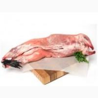 Куплю нутрий тушки мяса