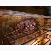 Продам поросят мелким и крупным оптом, трехлинейный гибрид мясного направления