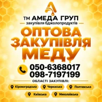 Закупівля меду оптом у пасічників АМЕДА ГРУП