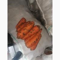 Продам моркву