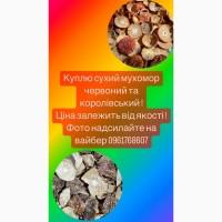 Куплю мухомори сухі червоний та королівський