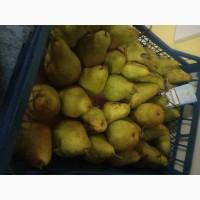 Груша киргизка и ноябрская