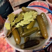 Продам квашені огірки