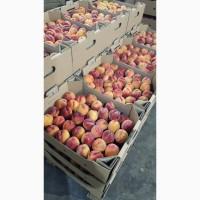 Продам персик, Херсонська область