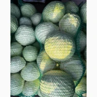 Продам капусту, сорт Анкома