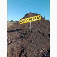 Доставка сипця по Одесі та області недорого