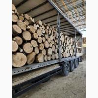 Доставка сипця по Одесі та області недорого