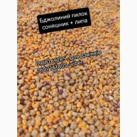Бджолиний пилок якісний