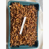 Продам лисички солені