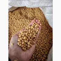 Соя продам Сою оптом цена 11200 грн тонна есть объёмы