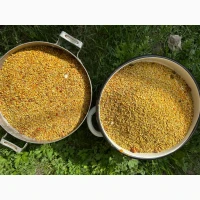 Продам пилок