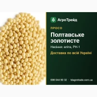 Сортове насіння проса Полтавське золотисте - від 39 000 грн/т