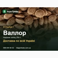 Продам насіння еспарцету Валлор - еліта, РН-1