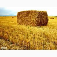 Продам тюки!сено, солома, просо
