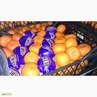 Продам мандарин Маркот