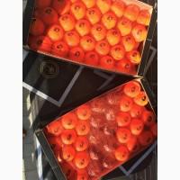 Продам мандарины Испания без косточек