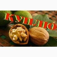 Купим орех грецкий кругляк, семечки тыквы, фасоль