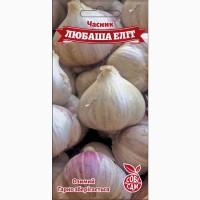 Продам насіння часнику « Любаша еліт»