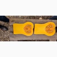 Продам тыкву Матильда качество высокое