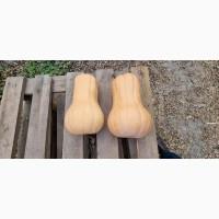 Продам тыкву Матильда качество высокое