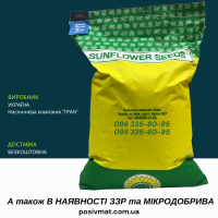 ФЕНІКС OR7, НАСІННЯ посухостійкого гібриду соняшника, безкоштовна доставка
