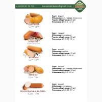 Ковбаси від ТМ Продукти Карпат (Гурт, Опт)