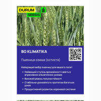 Насіння пшениці 2024 (Оригінатор - Biogranum, Сербія), Durum Seeds