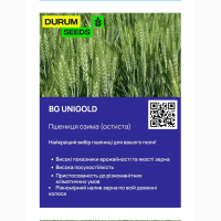 Насіння пшениці 2024 (Оригінатор - Biogranum, Сербія), Durum Seeds