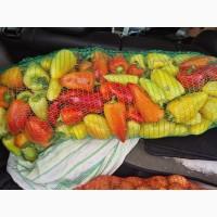 Продам перец белозерка