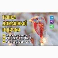 Продам тушку домашньої індички