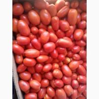 Продам помідор сливка
