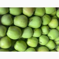 Продамо яблука сорту « Голден»