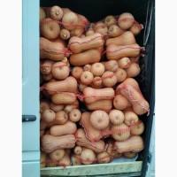 Продам гарбуз Матільда