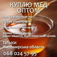 Купуємо мед оптом