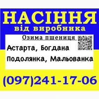 Елітне насіння озимої пшениці від виробника 1 у Харківскій області