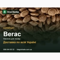 Насіння еспарцету Вегас для посіву