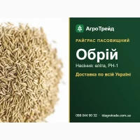 Обрій - райграс пасовищний, насіння еліта, РН-1 з документами